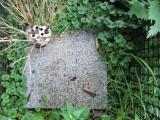 image of grave number 417399